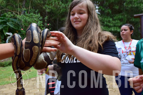 Buy your photos of the eventNR1 - English & Action 11 a 13/04/18 on Fotop