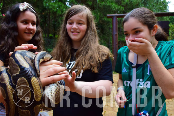 Buy your photos of the eventNR1 - English & Action 11 a 13/04/18 on Fotop