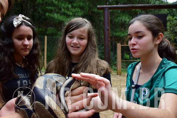 Buy your photos of the eventNR1 - English & Action 11 a 13/04/18 on Fotop