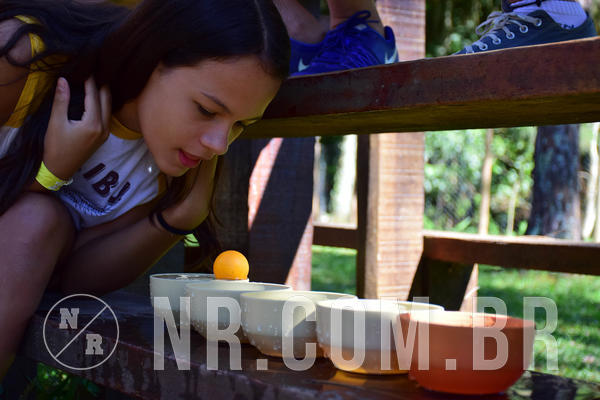 Buy your photos of the eventNR1 - English & Action 11 a 13/04/18 on Fotop