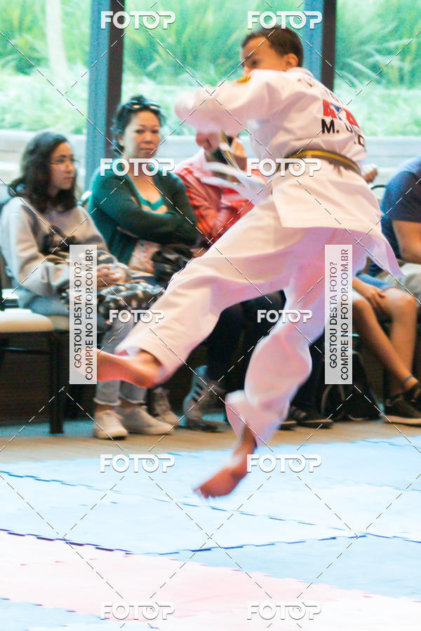 Buy your photos of the eventCAMPEONATO BRASILEIRO DE TAEKWONDO - ATA on Fotop