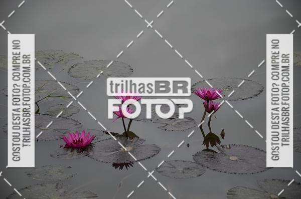 Buy your photos of the eventITAPEMA MTB FEST 2018 - Mountain Bike Marathon on Fotop