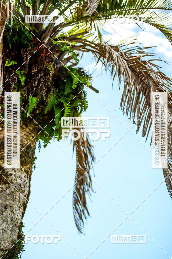 Buy your photos of the eventGP RUBEN SILVA on Fotop