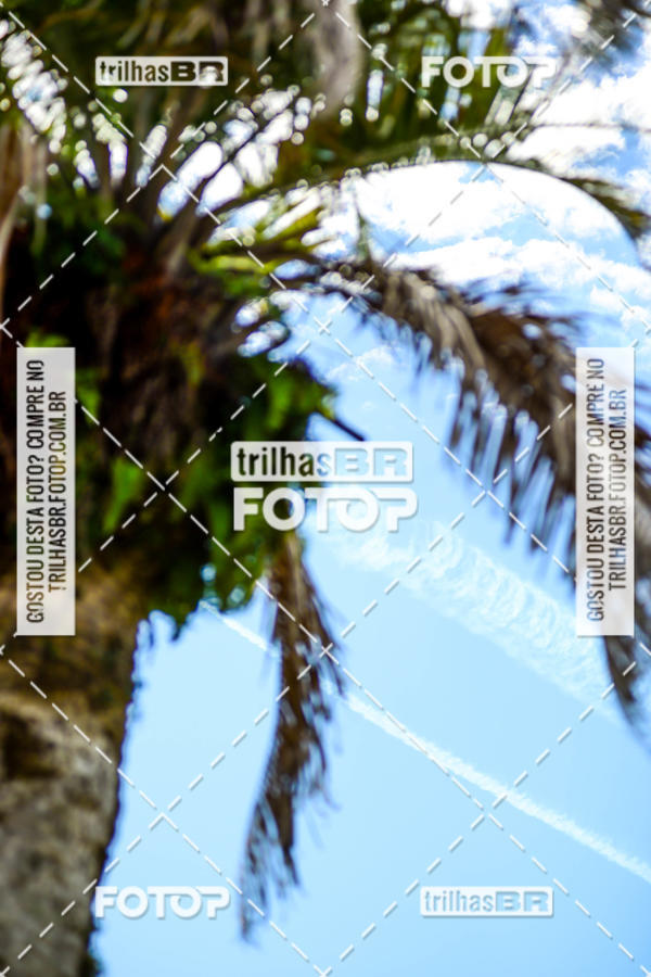 Buy your photos of the eventGP RUBEN SILVA on Fotop