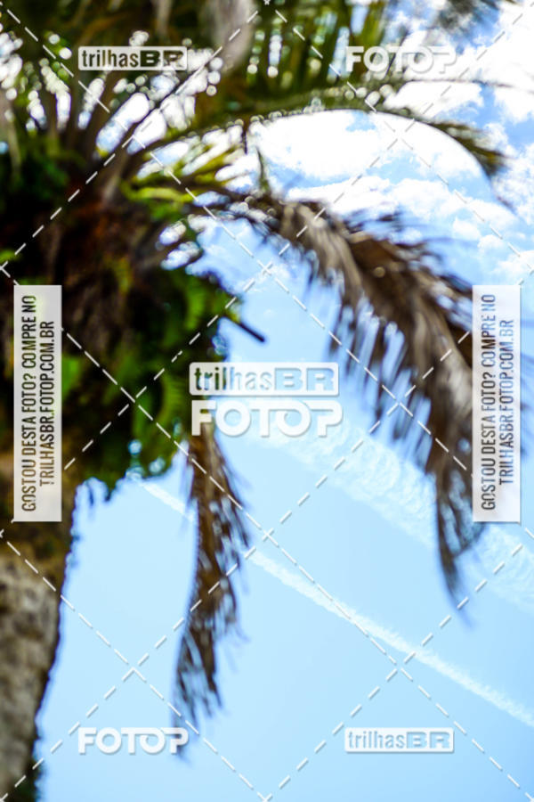 Buy your photos of the eventGP RUBEN SILVA on Fotop