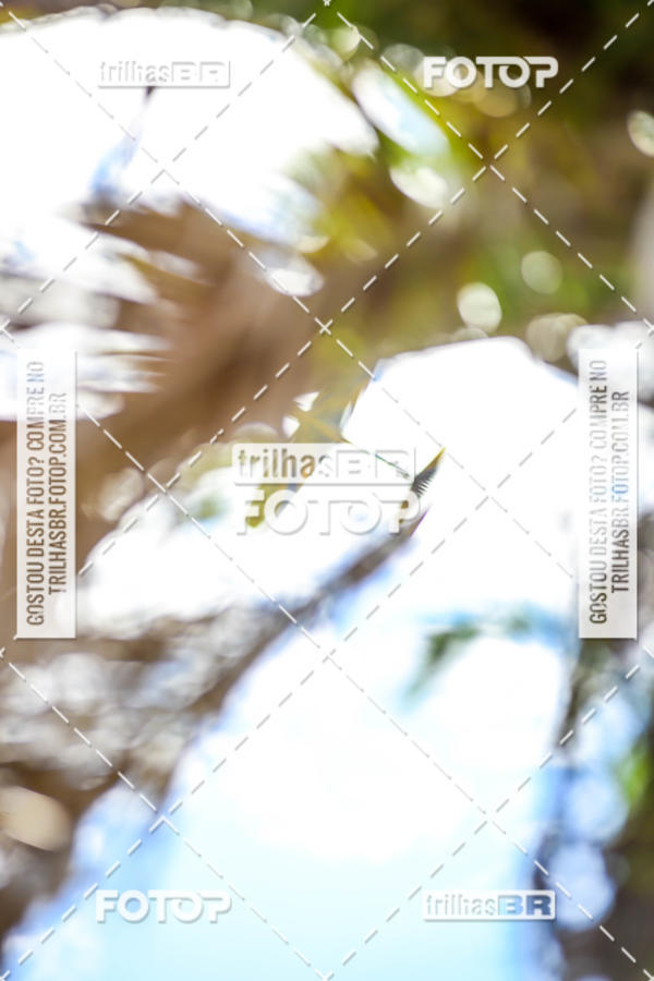 Buy your photos of the eventGP RUBEN SILVA on Fotop