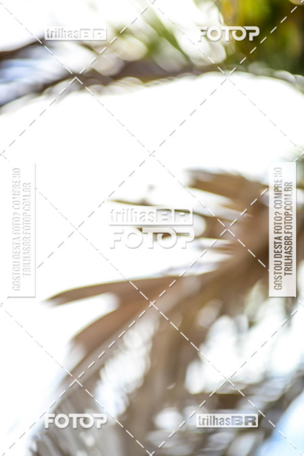 Buy your photos of the eventGP RUBEN SILVA on Fotop