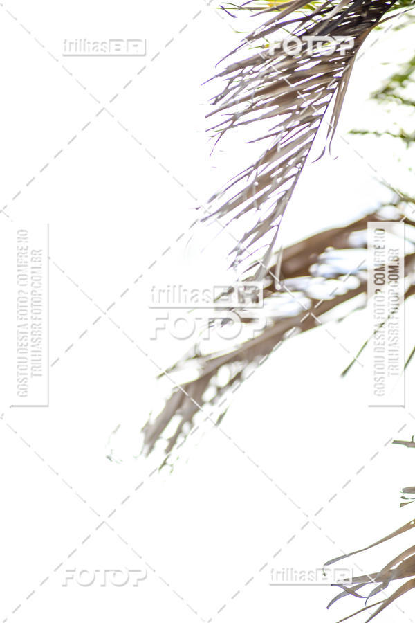 Buy your photos of the eventGP RUBEN SILVA on Fotop