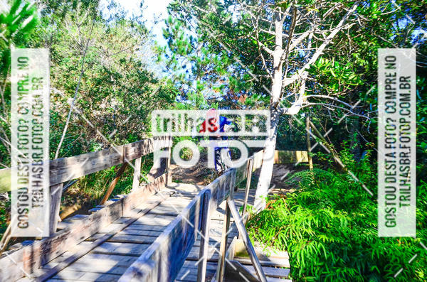 Buy your photos of the event3 COPA INTERNACIONAL DE DOWNHILL - RKN on Fotop