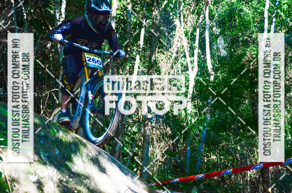 Buy your photos of the event3 COPA INTERNACIONAL DE DOWNHILL - RKN on Fotop