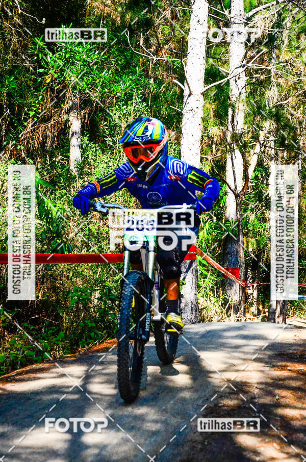 Buy your photos of the event3 COPA INTERNACIONAL DE DOWNHILL - RKN on Fotop