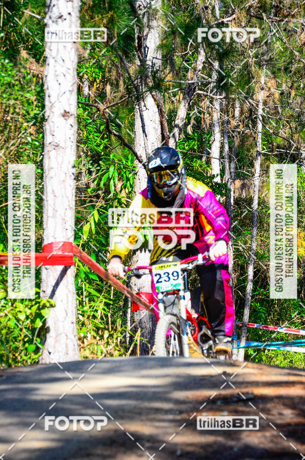 Buy your photos of the event3 COPA INTERNACIONAL DE DOWNHILL - RKN on Fotop