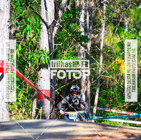 Buy your photos of the event3 COPA INTERNACIONAL DE DOWNHILL - RKN on Fotop