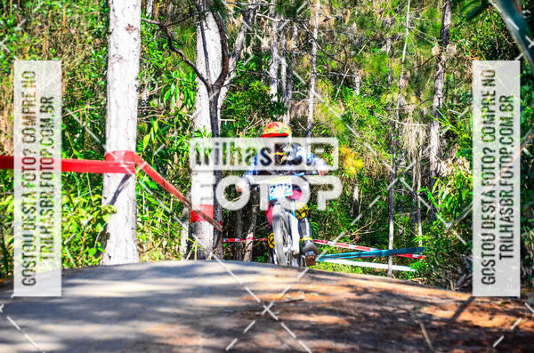 Buy your photos of the event3 COPA INTERNACIONAL DE DOWNHILL - RKN on Fotop