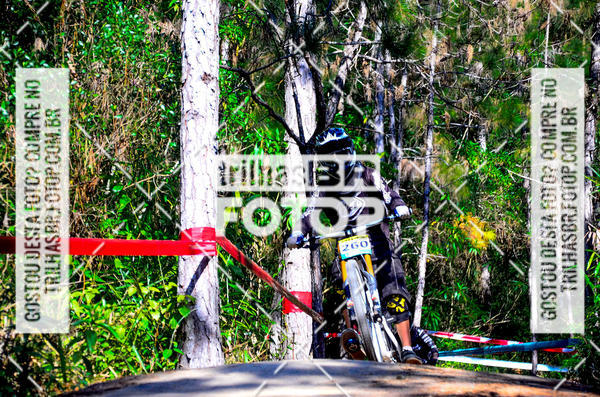 Buy your photos of the event3 COPA INTERNACIONAL DE DOWNHILL - RKN on Fotop