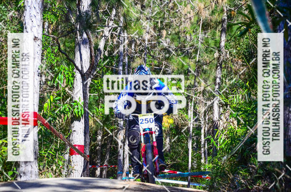 Buy your photos of the event3 COPA INTERNACIONAL DE DOWNHILL - RKN on Fotop