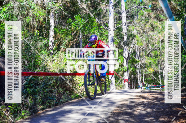 Buy your photos of the event3 COPA INTERNACIONAL DE DOWNHILL - RKN on Fotop