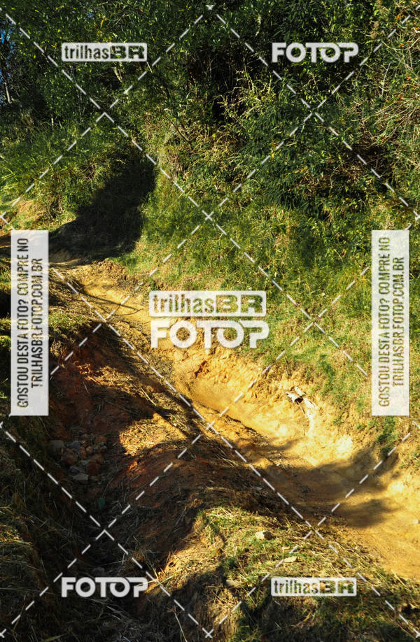 Buy your photos of the event3 COPA INTERNACIONAL DE DOWNHILL - RKN on Fotop