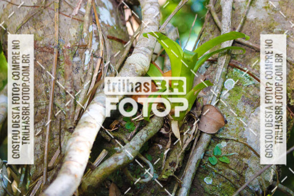 Buy your photos of the event3 COPA INTERNACIONAL DE DOWNHILL - RKN on Fotop