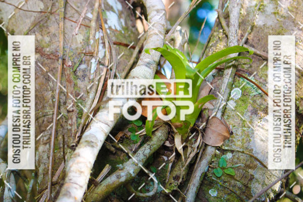 Buy your photos of the event3 COPA INTERNACIONAL DE DOWNHILL - RKN on Fotop