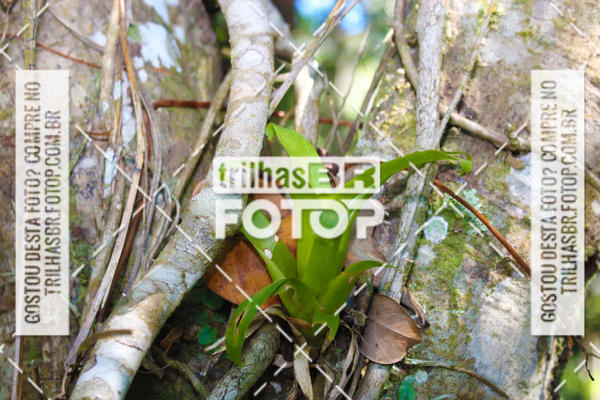 Buy your photos of the event3 COPA INTERNACIONAL DE DOWNHILL - RKN on Fotop