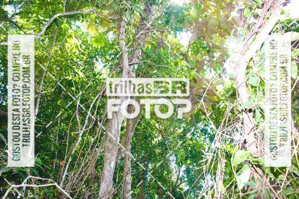 Buy your photos of the event3 COPA INTERNACIONAL DE DOWNHILL - RKN on Fotop