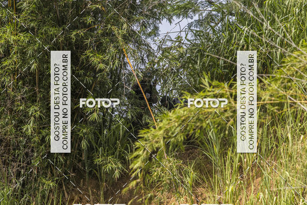 Buy your photos of the eventOperao Korengal The Strike - JPA AIRSOFT on Fotop