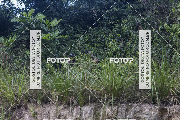 Buy your photos of the eventOperao Korengal The Strike - JPA AIRSOFT on Fotop