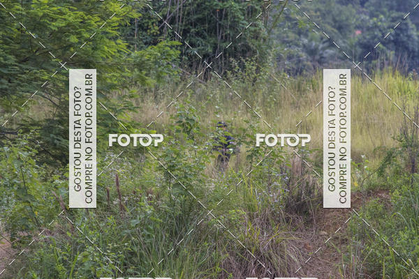 Buy your photos of the eventOperao Korengal The Strike - JPA AIRSOFT on Fotop