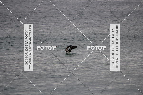 Buy your photos of the eventDesafio G2 Trail Run Arraial do Cabo on Fotop