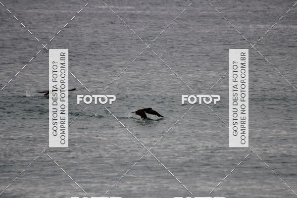 Buy your photos of the eventDesafio G2 Trail Run Arraial do Cabo on Fotop