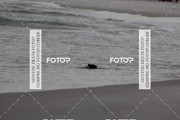 Buy your photos of the eventDesafio G2 Trail Run Arraial do Cabo on Fotop