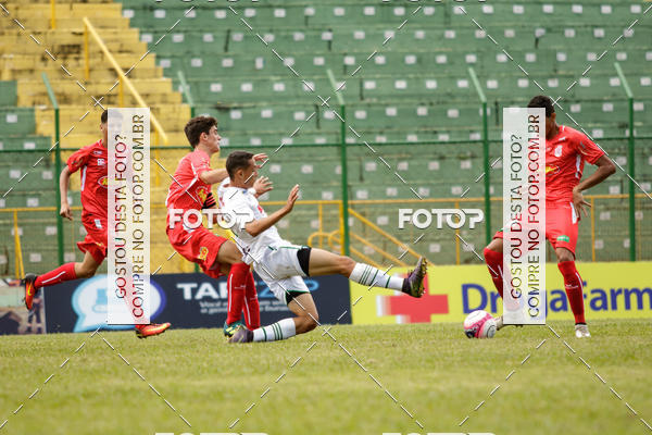 Buy your photos of the eventFrancana x Batatais Sub 17 on Fotop