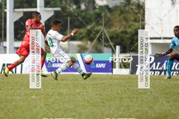 Buy your photos of the eventFrancana x Batatais Sub 17 on Fotop