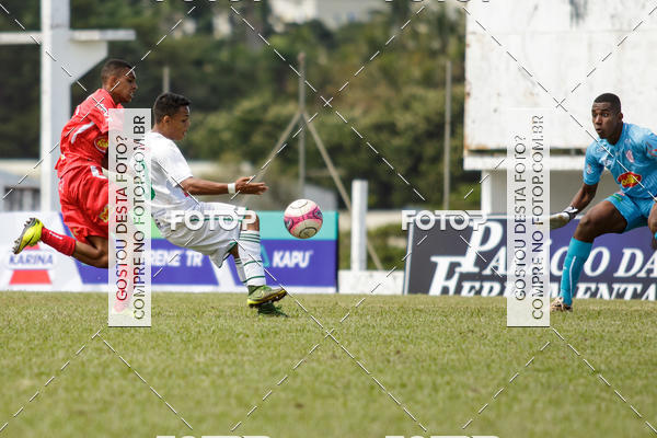 Buy your photos of the eventFrancana x Batatais Sub 17 on Fotop