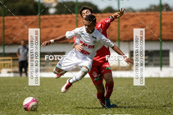 Buy your photos of the eventFrancana x Batatais Sub 17 on Fotop