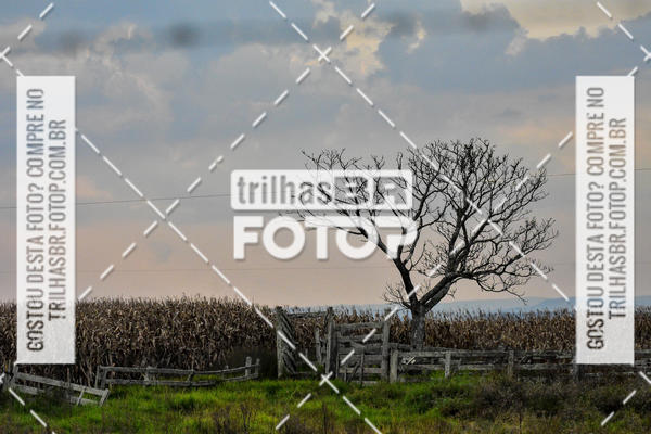 Buy your photos of the eventEndorphhine Duo Bike + Corrida on Fotop