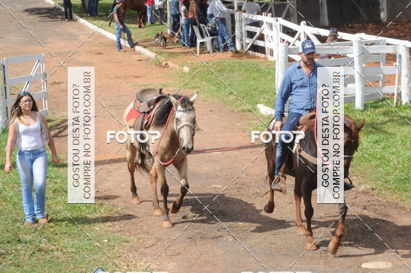 Buy your photos of the eventCAMPEONATO ACC 3 TAMBORES on Fotop