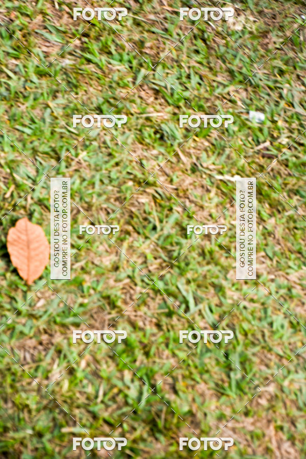 Buy your photos of the event3� Corrida Solid�ria ARCA - Vinhedo on Fotop