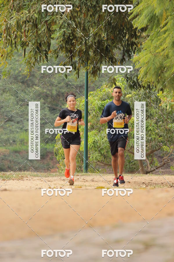 Buy your photos of the event3� Corrida Solid�ria ARCA - Vinhedo on Fotop