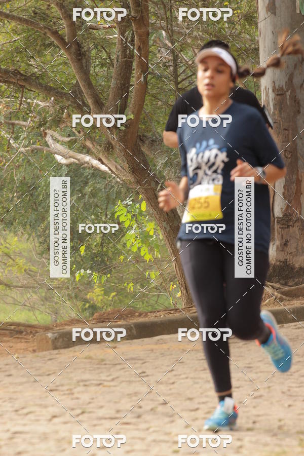 Buy your photos of the event3� Corrida Solid�ria ARCA - Vinhedo on Fotop