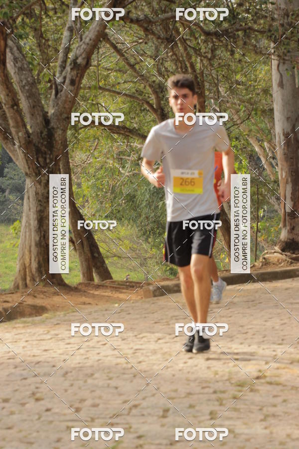 Buy your photos of the event3� Corrida Solid�ria ARCA - Vinhedo on Fotop