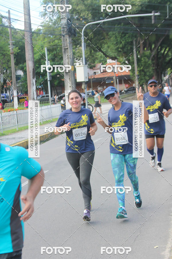 Buy your photos of the event42 Corrida Guararapes on Fotop