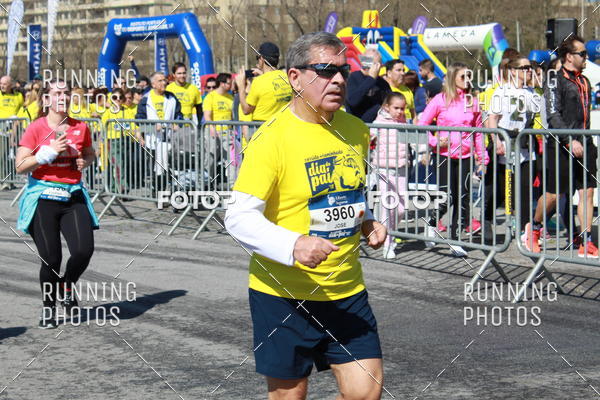 Buy your photos of the eventDia Pai 2018 on Fotop