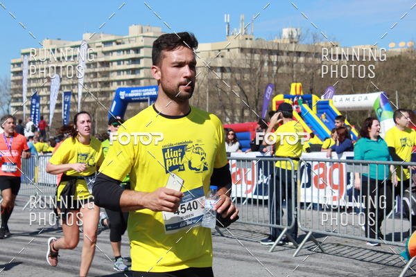 Buy your photos of the eventDia Pai 2018 on Fotop