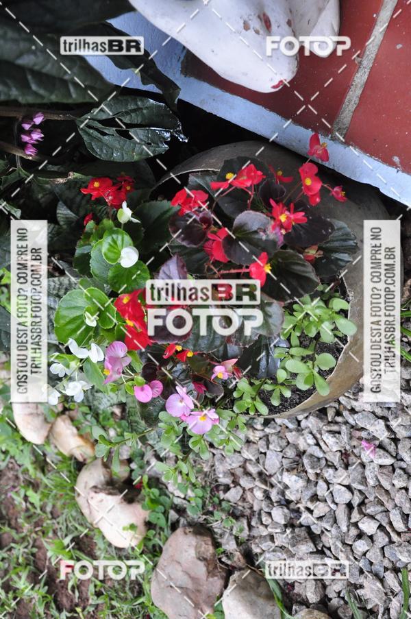 Buy your photos of the eventCircuito Trail Run Praias - Etapa Daniela on Fotop