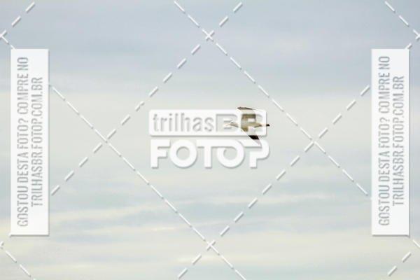 Buy your photos of the eventCircuito Trail Run Praias - Etapa Daniela on Fotop
