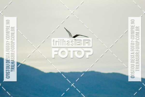 Buy your photos of the eventCircuito Trail Run Praias - Etapa Daniela on Fotop