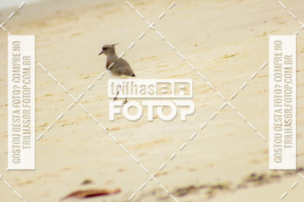 Buy your photos of the eventCircuito Trail Run Praias - Etapa Daniela on Fotop