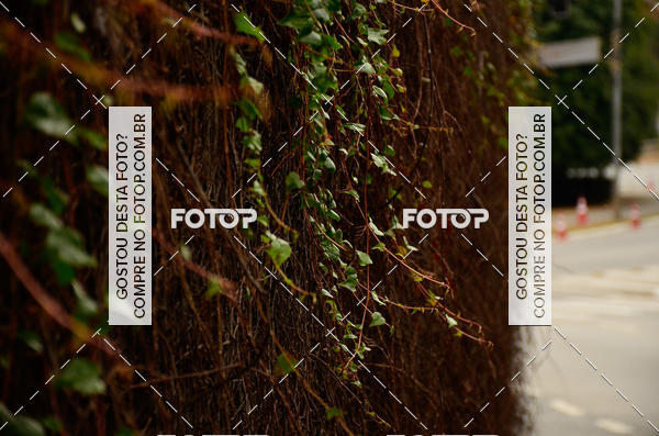 Buy your photos of the eventSP City Marathon on Fotop